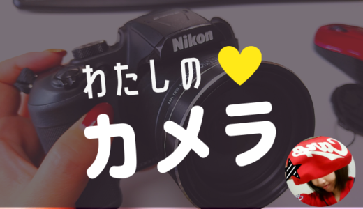 【3万円代】安くて撮影簡単！野球観戦がめちゃくちゃ楽しめるカメラ