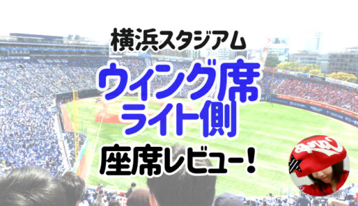 横浜スタジアム  ウィング席レポート！試合の見え方・メリットデメリット